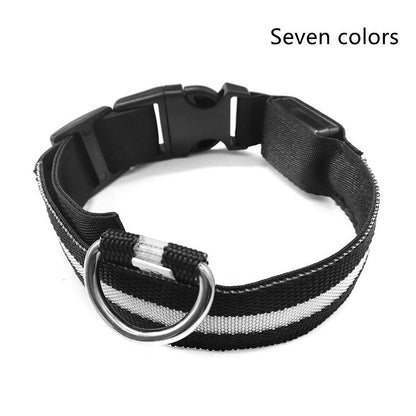 Tikivault Nylon LED Pet Dog Luminous Collar