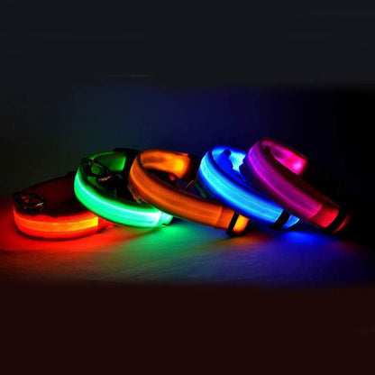 Tikivault Nylon LED Pet Dog Luminous Collar