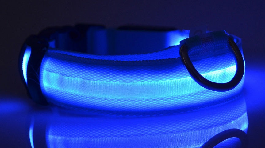 Tikivault Nylon LED Pet Dog Luminous Collar